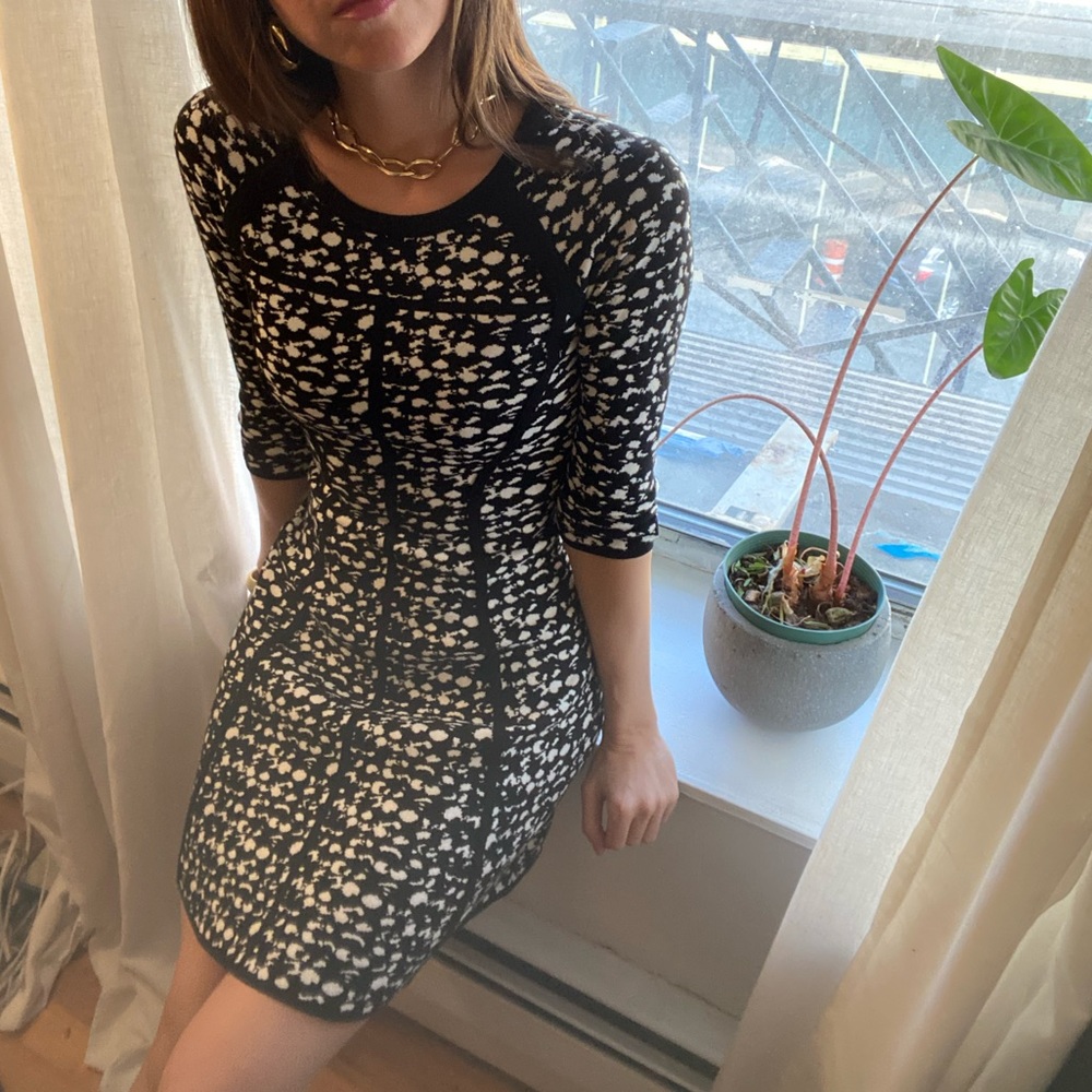 Black and white fit and flare mini dress